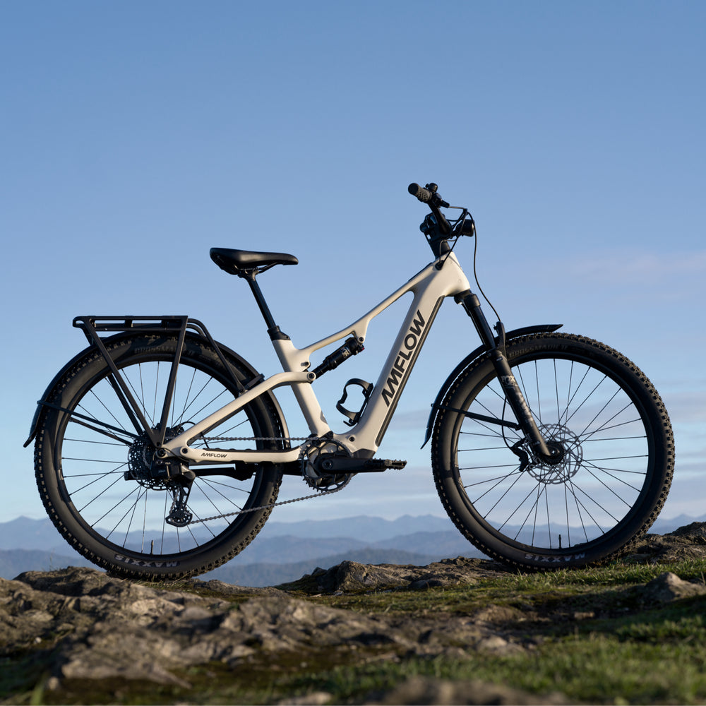 AMFLOW Bikes TL Carbon
