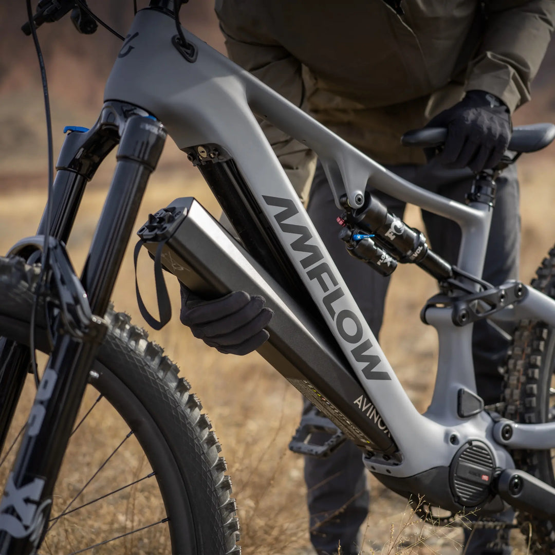 AMFLOW Bikes PR Carbon